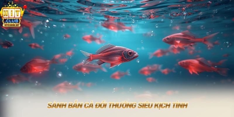 Hitclub【Hit Club】Trang Chủ Tải Game Bài Đổi Thưởng T7/2026 12 Sảnh bắn cá đổi thưởng siêu kịch tính
